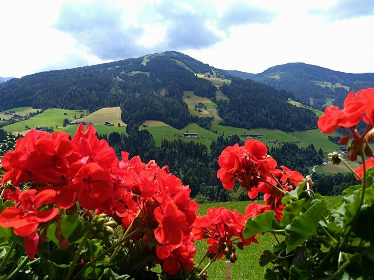 Aussermooserhof Alpbach Buitenkant foto